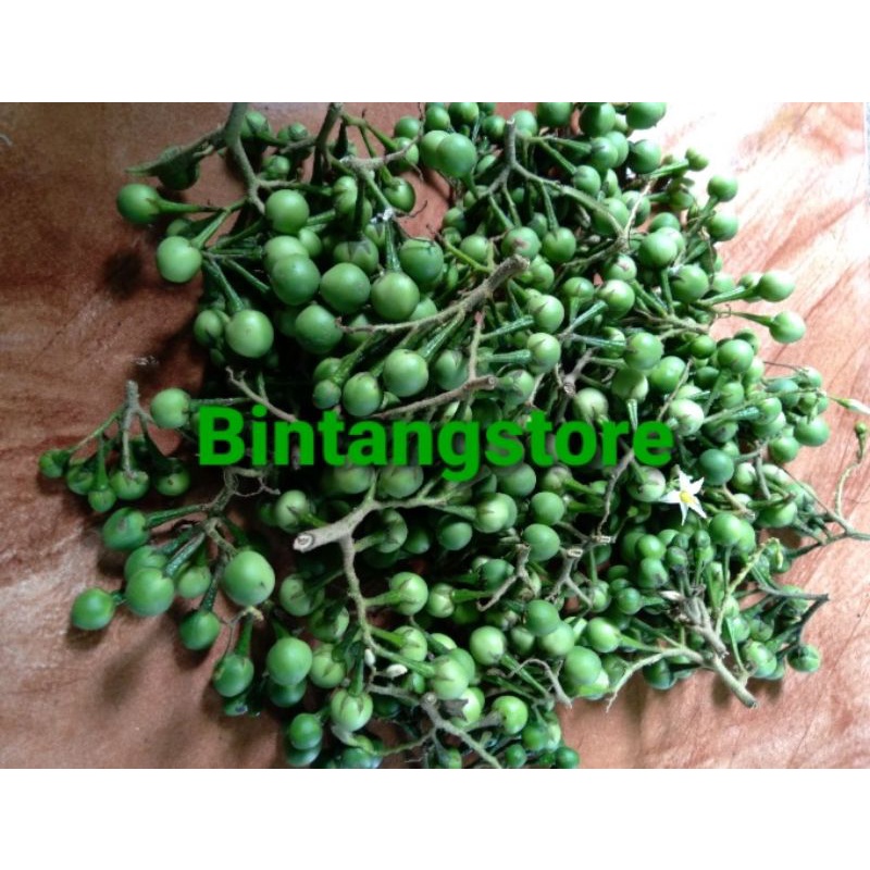 

Buah cepokak/buah takokak segar 500 gram murni buahnya saja