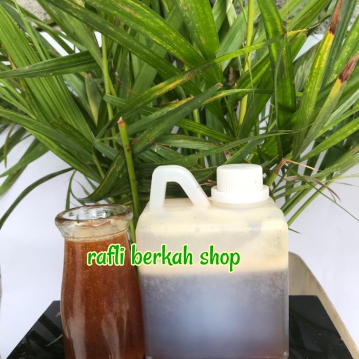 

nh201dd Madu Hutan Sialang Sumatera 500 Gr Ds201Fs