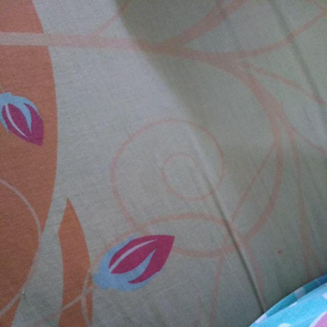 250 Gr Buah Zaitun Hijau Dan Hitam