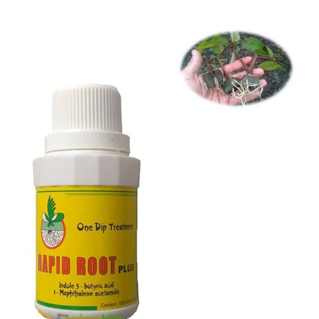 RAPID ROOT 100GR  hormon pertumbuhan akar dan merangsang akar -ZPT(zat pengatur tumbuh)