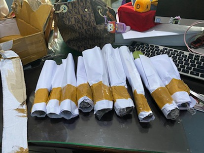 Paket Murah 5 Jenis Calathea Tanaman Hias Terlaris