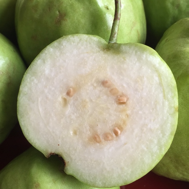

Jambu kristal