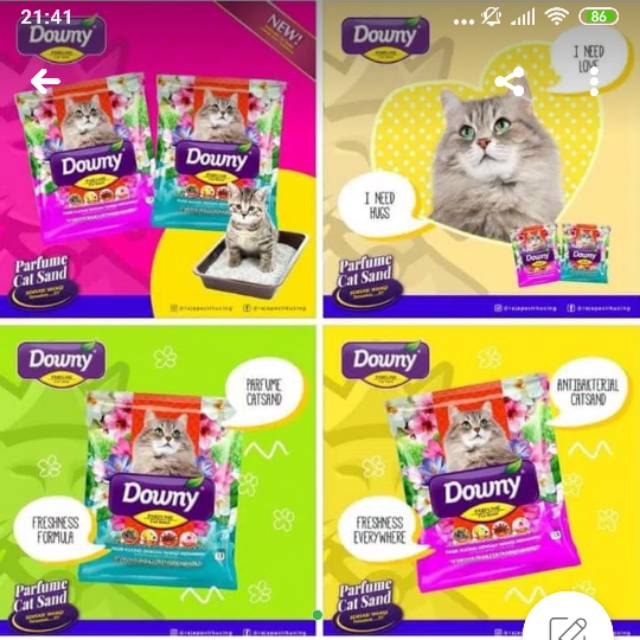 Pasir Wangi Gumpal Downy 5,5liter
