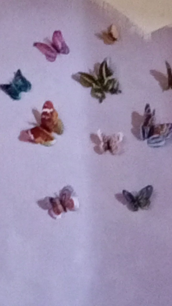 3d (singgle) Butterfly Wall Sticker Dingding Kupu² 3d Dengan Magnet