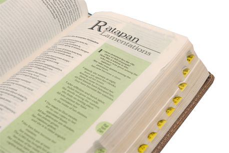 Alkitab LAI TB/NIV 055 TI Indonesia- Inggris