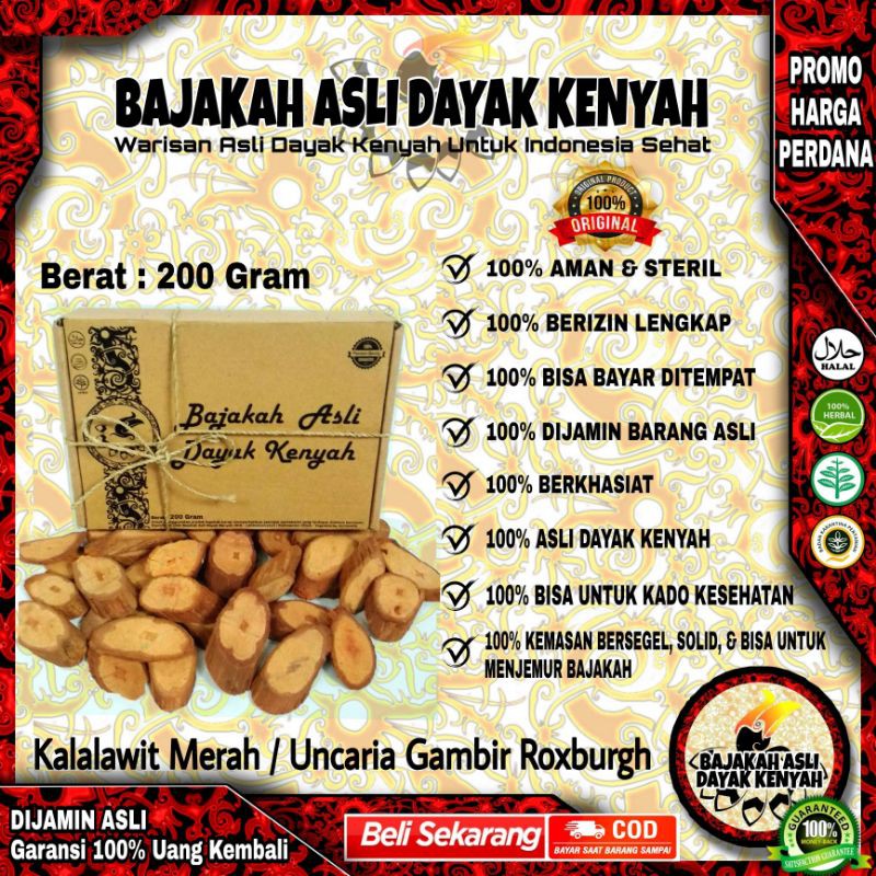 

BAJAKAH KALALAWIT MERAH 200Gr - UNCARIA GAMBIR ROXB -OBAT ASLI KALIMANTAN , BAJAKAH ASLI DAYAK KENYAH