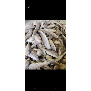 

ikan asin kepala batu 250gr