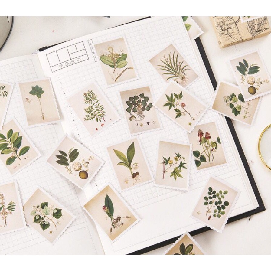 

plantae series sticker set