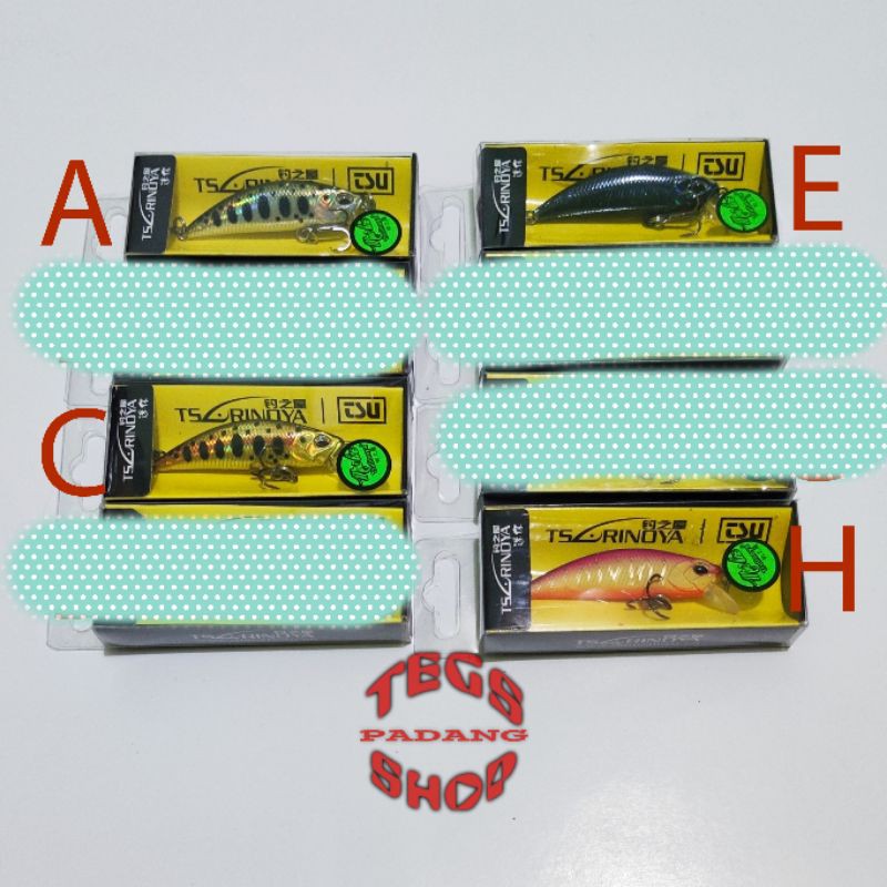 LURE MINNOW TSURINOYA DW63