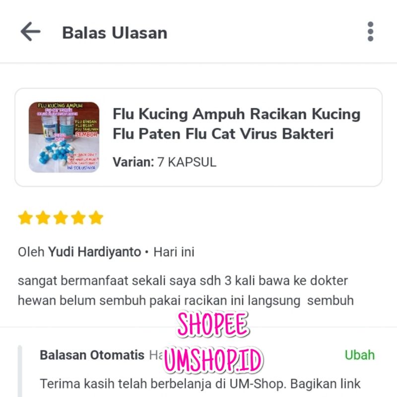 Flu Kucing Ampuh Paten Flu Care Kucing Flu Paten Flu Cat Virus Bakteri Kucing