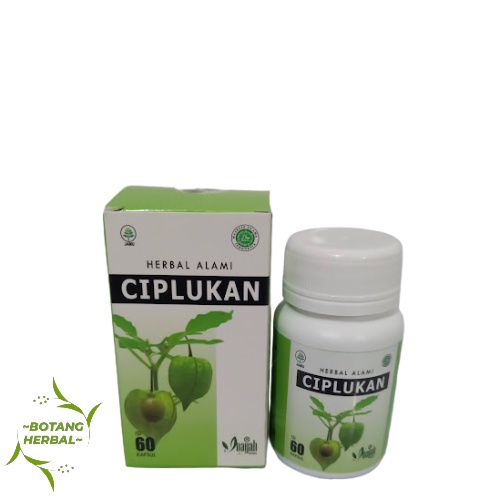 

KAPSUL CIPLUKAN MENGATASI DIABETES MILATUS INAYAH original isi 60 kapsul / kapsul Daun Ciplukan Ceplukan Physalis Obat Paru Diabetes Hipertensi / Kapsul Ciplukan 99 Isi 50 Kpasul