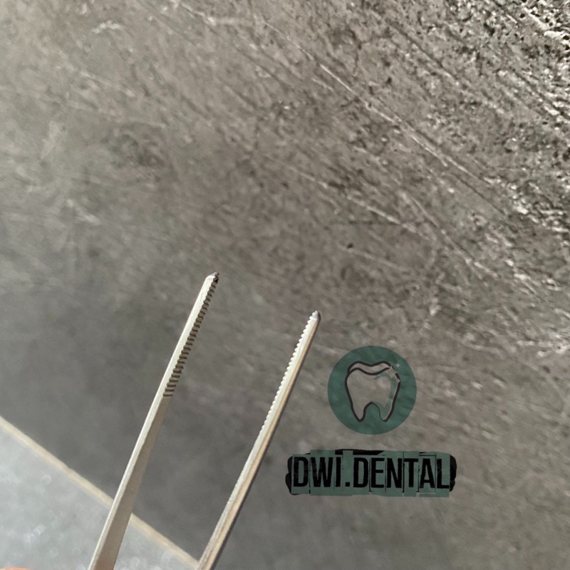 G2.8 pinset anatomi / anatomis tweezer