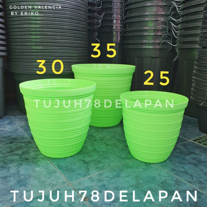 Pot Tawon Golden Valencia 30 - Pot Tawon Hijau 30 - Pot Bunga Tawon
