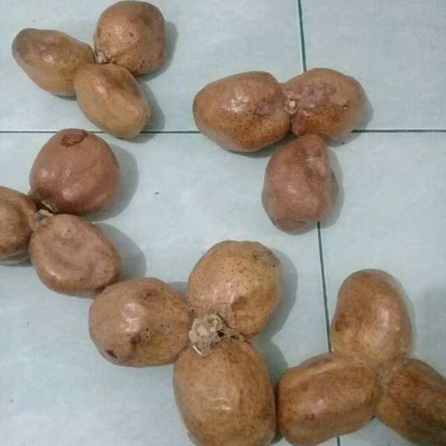 

zuriat kembar 3