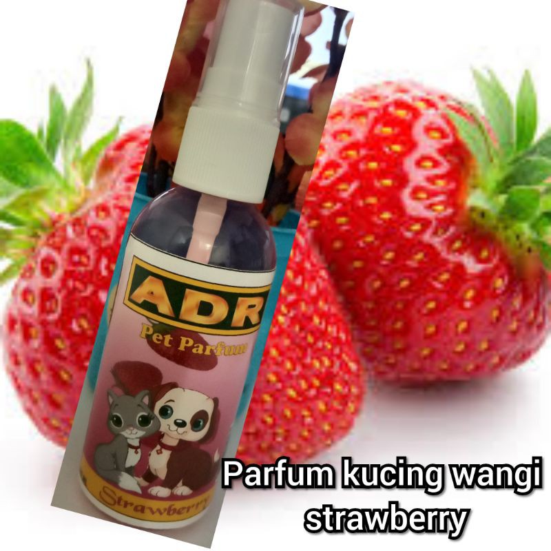 Parfum Kucing Wangi Strawberry Murah 60ml