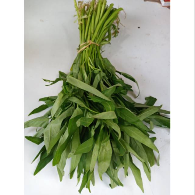 

SAYUR KANGKUNG HIJAU (SIAP KIRIM) 1 IKAT