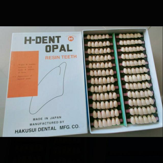 Gigi Palsu H-Dent Opal / Sanyo anterior atas /Gigi tiruan/ resin teeth dental