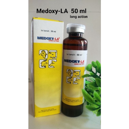 Medoxy LA 50 ml-medion