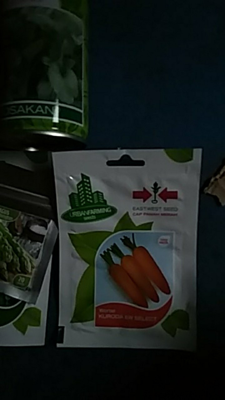 Benih Bibit Wortel Kuroda Cap Panah Merah Ppouch Kemasan Asli
