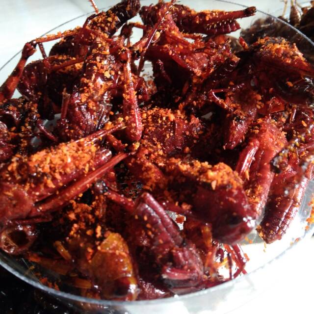 

WALANG GORENG MBAH MII