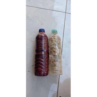 PSB JAKABA + BIANG JAKABA