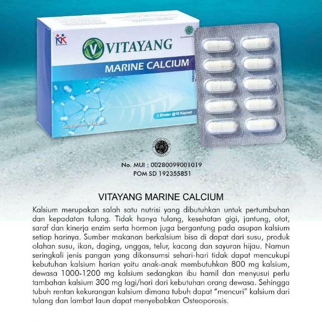 Vitayang Marine Calcium KK Indonesia Kalsium Harian Mencegah Osteoporosis Memperkuat Tulang dan Gigi