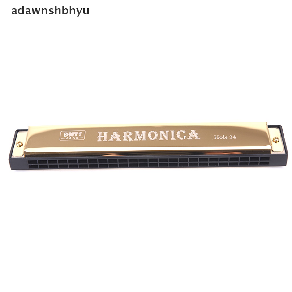 Harmonika Tremolo 24 Lubang Kunci C Dua Baris Blues