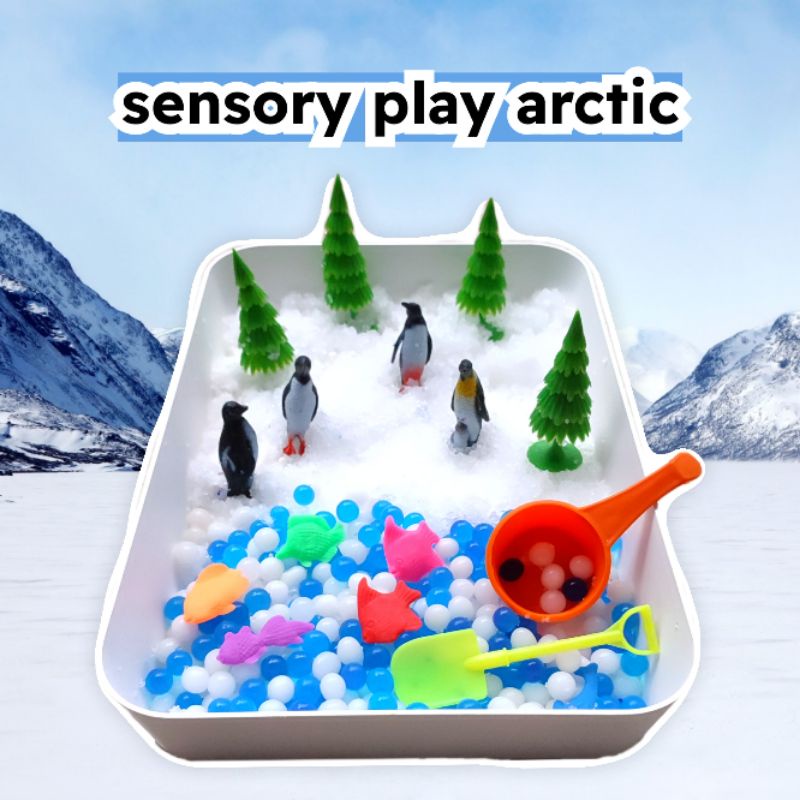 Sensory Box Tema Kutub / Mainan Stimulus sensor peraba penglihatan anak