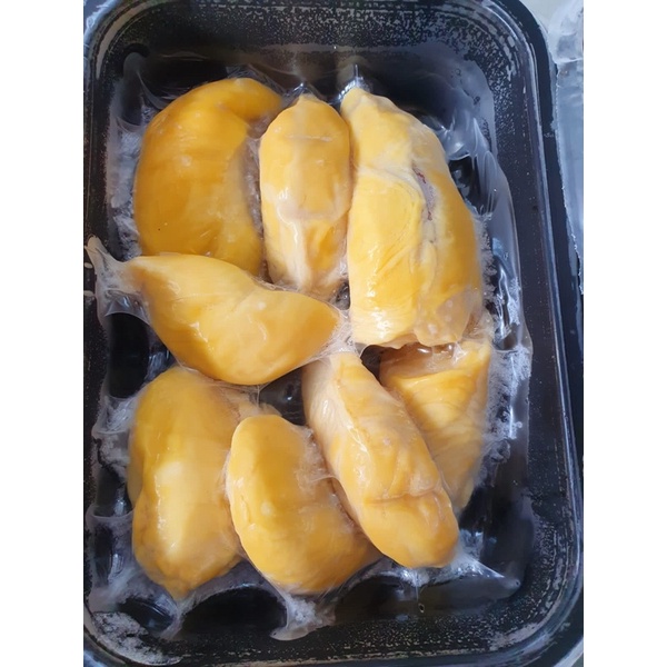 

Musang King