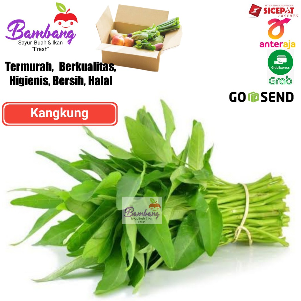 

kangkung fresh kangkung segar 1 ikat