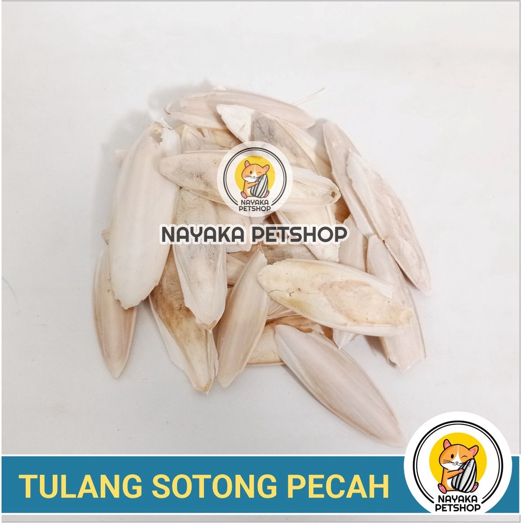 Tulang Sotong Pecah Kalsium Mineral Burung Gigitan Hamster Alami Gnawing Stone Natural Asah Gigi Dental Care