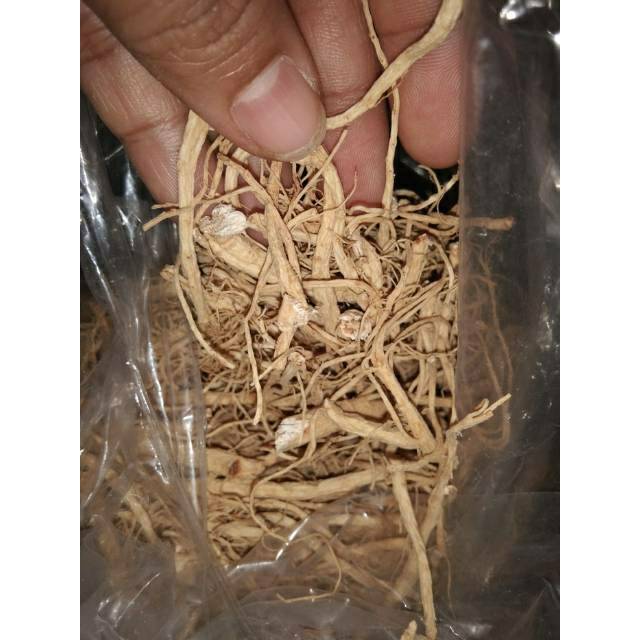 

Akar Ginseng/Yang Shen Xu/Som chiu - semsi 50g