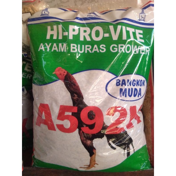 Pakan Ayam Bangkok Muda Hi Pro Vite A592K / pakan ayam / pokpan ayam
