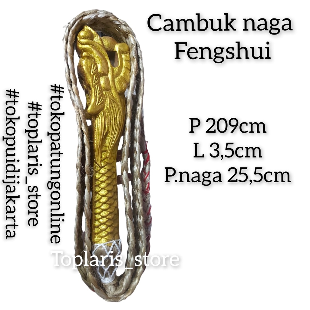 Cambuk Naga Langit 022