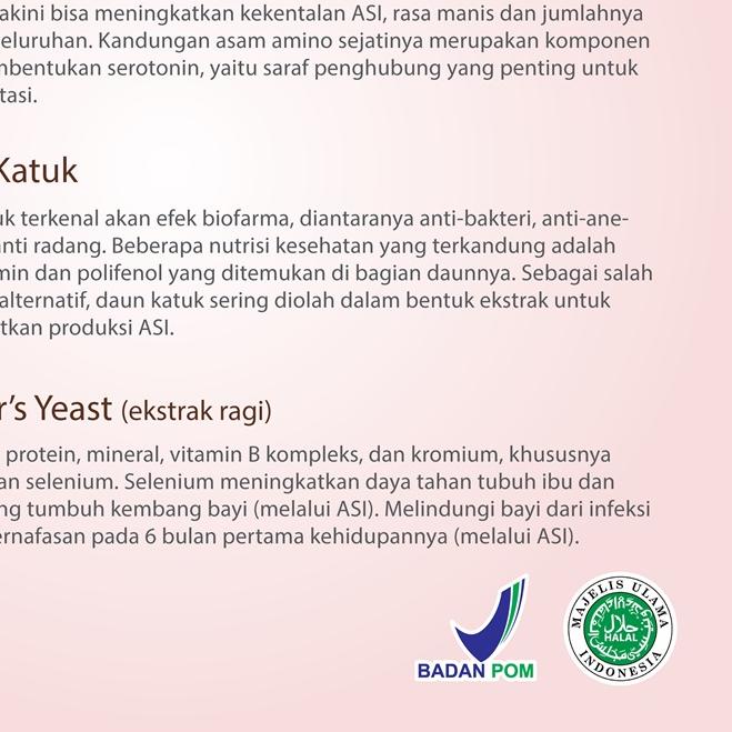 MamaBear Mama Bear AlmonMix Almon Mix Susu Almond + Katuk Pelancar