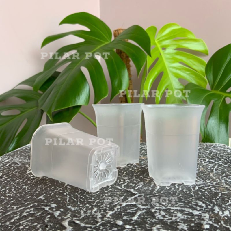pot bunga tanaman mini kotak bening transparan 5cm - nkt mini