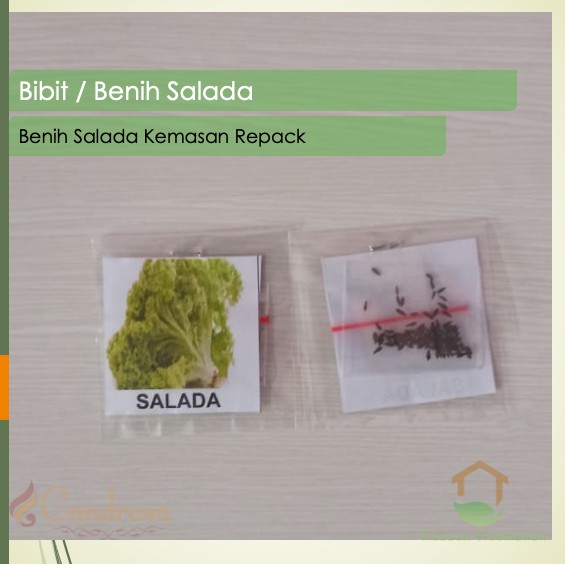 Biji Selada / Bibit Salada / Benih Selada / Benih Sayuran