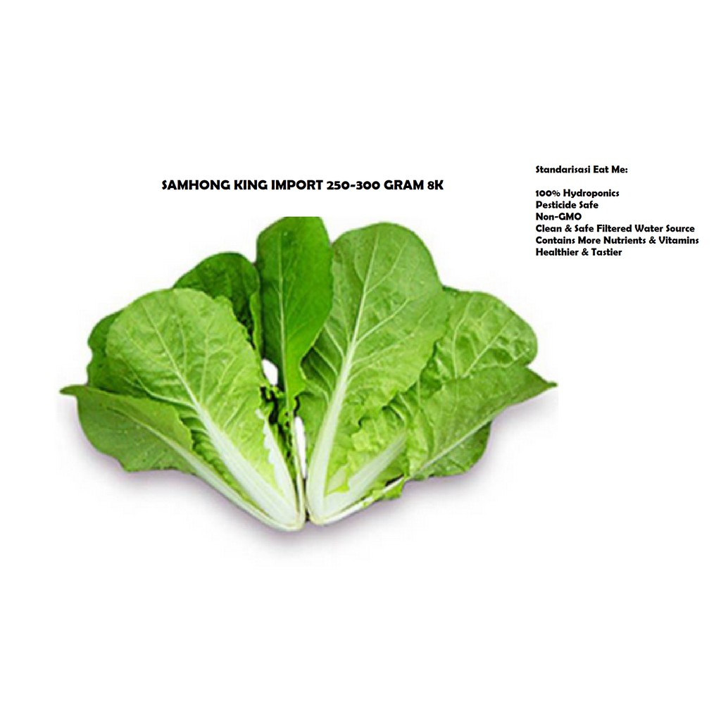

SAMHONG KING IMPORT 250-300 GRAM