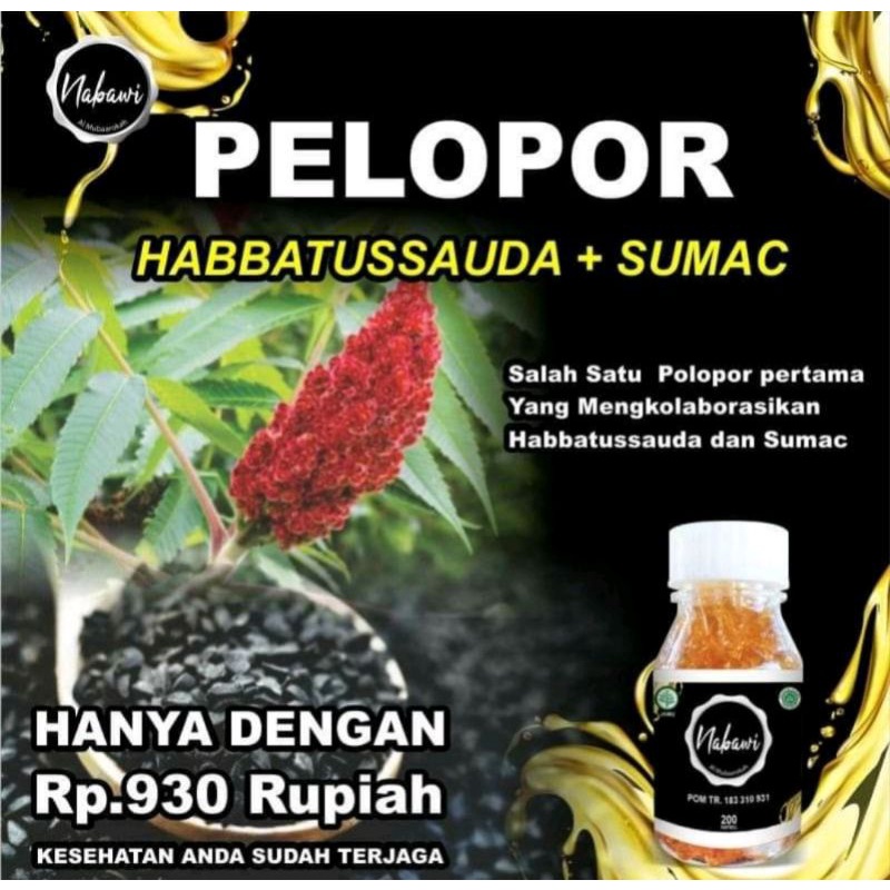 PROMIL HABATUSAUDA - HABBATUSSAUDA OIL EXTRA PROPOLIS UNTUK PROGRAM HAMIL SUPLEMEN KESEHATAN-1