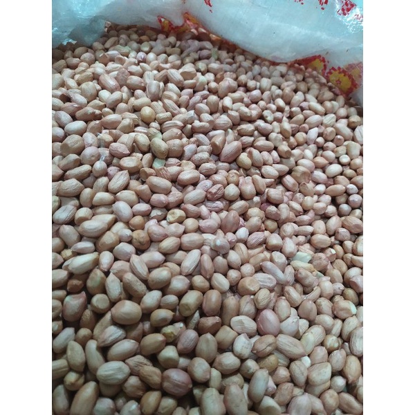 

Kacang Tanah India Super 1000gr