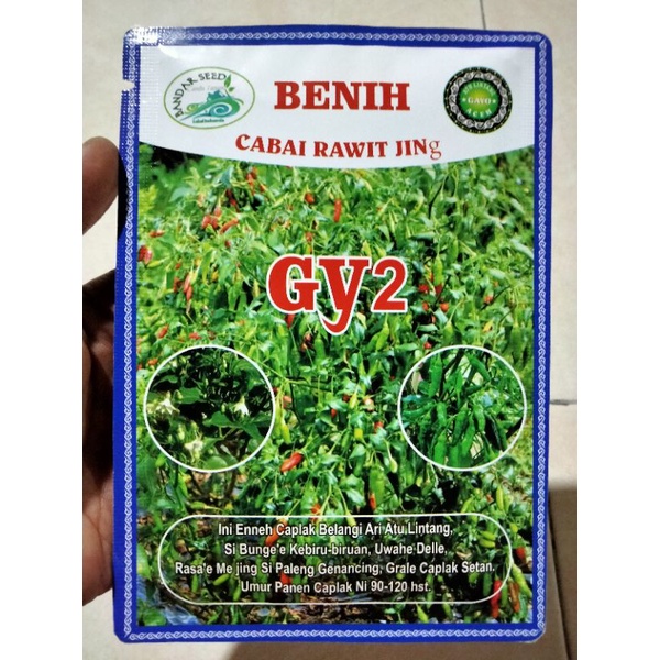 Benih Cabe Rawit Hijau Gy2 Kemasan 10 Gram Cap Bandar Seed - Bibit Cabai Rawit Ijo Gy2 gy 2 G Y2 raw