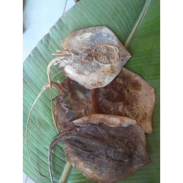 

ikan pari kering/ikan piring/berat 100gr