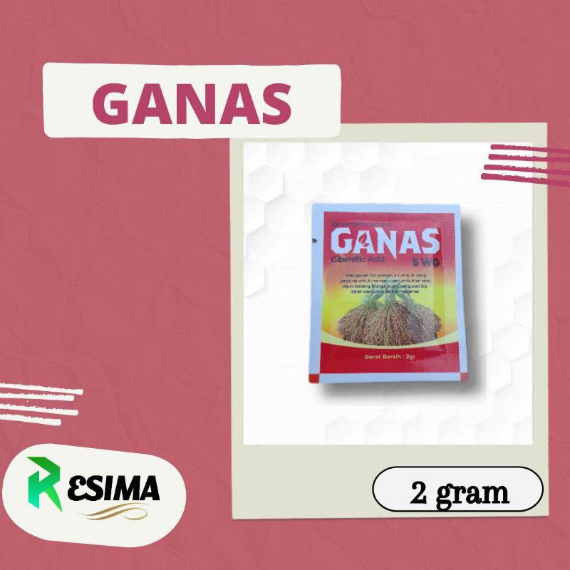 ZPT GANAS 2 g GIberellic Acid 5 WG