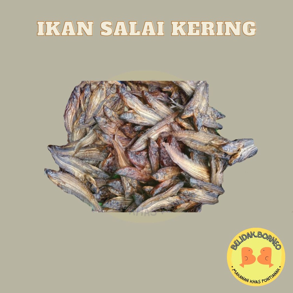 

Ikan Salai Kering Asli Pontianak 500 gr