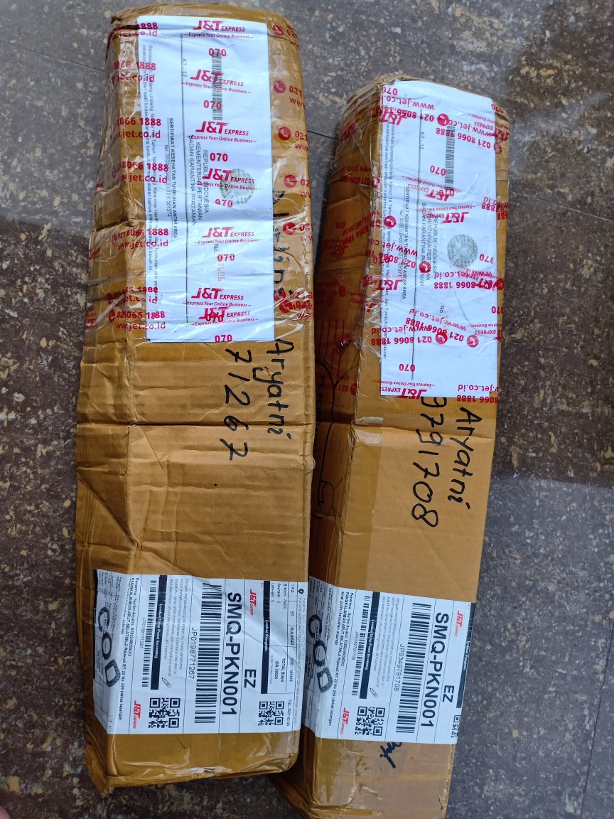 Bibit Anggur Import Ninel