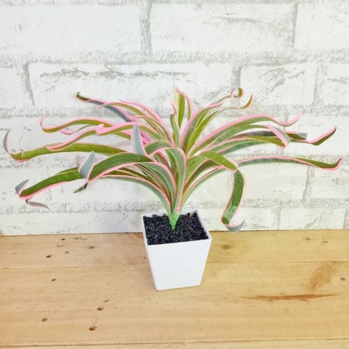 bunga plastik artificial palsu dekorasi bunga daun sintetis