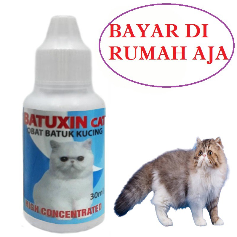 OBAT BATUK KUCING SAKIT FLU PILEK SESAK NAFAS  BATUXIN CAT