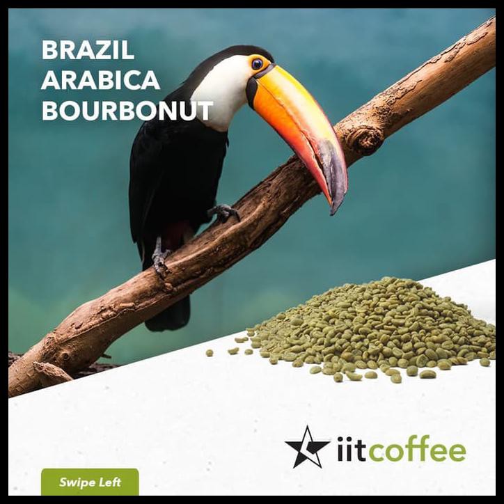 

ARABICA GREEN BEANS - BRAZIL BOURBONUT NATURAL 1 KG