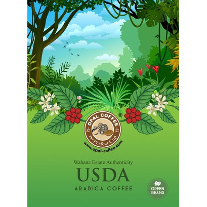

KOPI USDA ARABICA