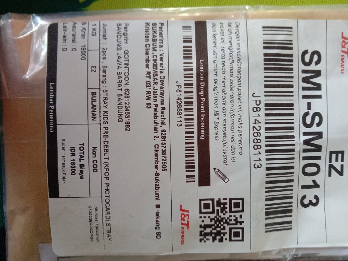 Stray Kids Pre-debut (kpop Photocard)